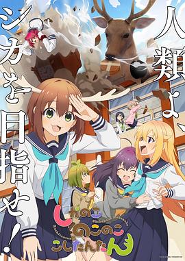 8050午夜二级理论